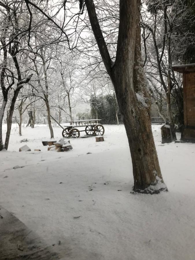 Бунгало Kheivani 外观 照片